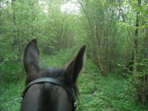 <img300*0:stuff/z/61691/Ridtur%2520-nya%2520rundan/DSCN0081.JPG>