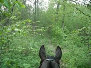<img300*0:stuff/z/61691/Ridtur%2520-nya%2520rundan/DSCN0084.JPG>