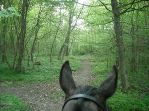 <img300*0:stuff/z/61691/Ridtur%2520-nya%2520rundan/DSCN0085.JPG>