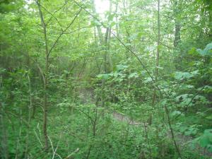 <img300*0:stuff/z/61691/Ridtur%2520-nya%2520rundan/DSCN0086.JPG>