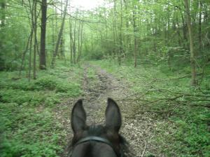 <img300*0:stuff/z/61691/Ridtur%2520-nya%2520rundan/DSCN0088.JPG>