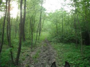 <img300*0:stuff/z/61691/Ridtur%2520-nya%2520rundan/DSCN0089.JPG>