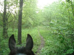 <img300*0:stuff/z/61691/Ridtur%2520-nya%2520rundan/DSCN0090.JPG>