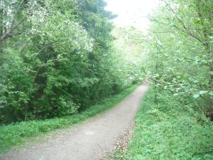 <img300*0:stuff/z/61691/Ridtur%2520-nya%2520rundan/DSCN0094.JPG>