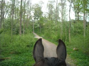 <img300*0:stuff/z/61691/Ridtur%2520-nya%2520rundan/DSCN0100.JPG>