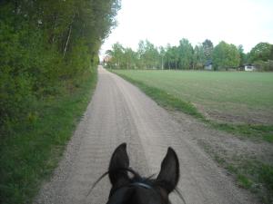 <img300*0:stuff/z/61691/Ridtur%2520-nya%2520rundan/DSCN0110.JPG>