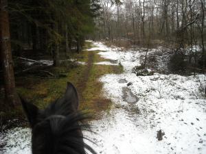 <img300*0:stuff/z/61691/Trailriding%2520feb%252008%2520-09/DSCN0008.JPG>