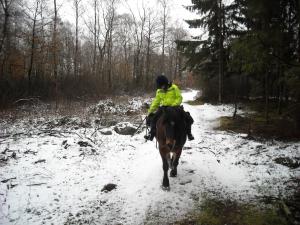 <img300*0:stuff/z/61691/Trailriding%2520feb%252008%2520-09/DSCN0009.JPG>