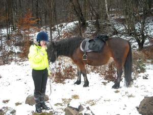 <img300*0:stuff/z/61691/Trailriding%2520feb%252008%2520-09/DSCN0018.JPG>