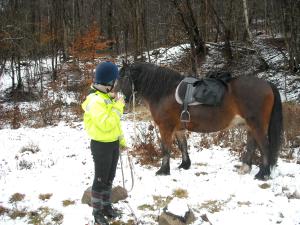 <img300*0:stuff/z/61691/Trailriding%2520feb%252008%2520-09/DSCN0019.JPG>