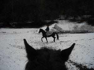 <img300*0:stuff/z/61691/Trailriding%2520feb%252008%2520-09/DSCN0044.JPG>