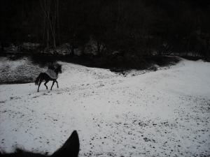 <img300*0:stuff/z/61691/Trailriding%2520feb%252008%2520-09/DSCN0045.JPG>