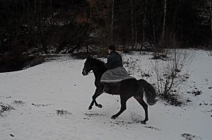 <img300*0:stuff/z/61691/Trailriding%2520feb%252008%2520-09/DSCN0051.JPG>