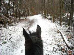 <img300*0:stuff/z/61691/Trailriding%2520feb%252008%2520-09/DSCN0058.JPG>