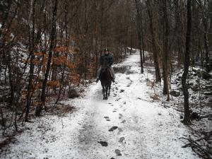 <img300*0:stuff/z/61691/Trailriding%2520feb%252008%2520-09/DSCN0059.JPG>