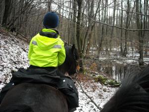 <img300*0:stuff/z/61691/Trailriding%2520feb%252008%2520-09/DSCN0092.JPG>