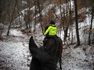 <img300*0:stuff/z/61691/Trailriding%2520feb%252008%2520-09/DSCN0095.JPG>