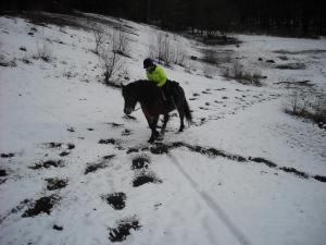 <img300*0:stuff/z/61691/Trailriding%2520feb%252008%2520-09/DSCN0106.JPG>