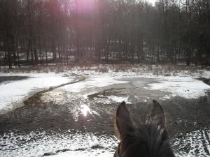 <img300*0:stuff/z/61691/Trailriding%2520feb%252008%2520-09/DSCN0107.JPG>