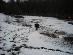<img300*0:stuff/z/61691/Trailriding%2520feb%252008%2520-09/DSCN0110.JPG>