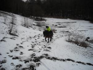 <img300*0:stuff/z/61691/Trailriding%2520feb%252008%2520-09/DSCN0111.JPG>