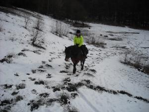 <img300*0:stuff/z/61691/Trailriding%2520feb%252008%2520-09/DSCN0112.JPG>