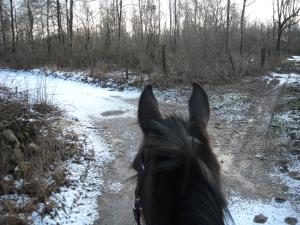 <img300*0:stuff/z/61691/Trailriding%2520feb%252008%2520-09/DSCN0117.JPG>