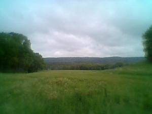 <imgl300*0:stuff/z/61691/mobilbilder11111/Foto0330.jpg>