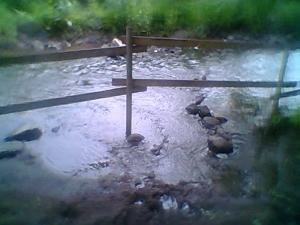 <imgl300*0:stuff/z/61691/mobilbilder11111/Foto0331.jpg>
