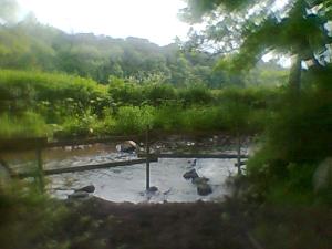 <imgl300*0:stuff/z/61691/mobilbilder11111/Foto0333.jpg>