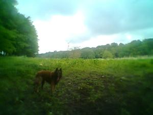 <imgl300*0:stuff/z/61691/mobilbilder11111/Foto0334.jpg>