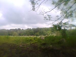 <imgl300*0:stuff/z/61691/mobilbilder11111/Foto0335.jpg>