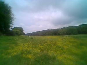 <imgl300*0:stuff/z/61691/mobilbilder11111/Foto0336.jpg>