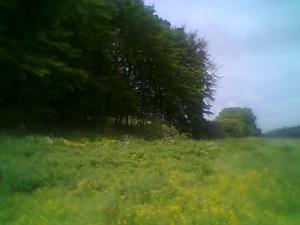 <imgl300*0:stuff/z/61691/mobilbilder11111/Foto0337.jpg>