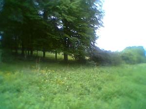 <imgl300*0:stuff/z/61691/mobilbilder11111/Foto0338.jpg>