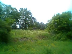 <imgl300*0:stuff/z/61691/mobilbilder11111/Foto0339.jpg>