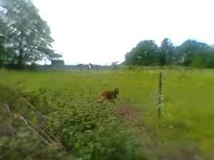 <imgl300*0:stuff/z/61691/mobilbilder11111/Foto0341.jpg>