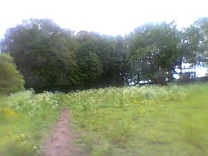 <imgl300*0:stuff/z/61691/mobilbilder11111/Foto0342.jpg>