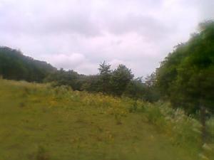 <imgl300*0:stuff/z/61691/mobilbilder11111/Foto0343.jpg>