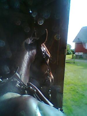 <img300*0:stuff/z/61691/mobilbilder11111/Foto0346.jpg>