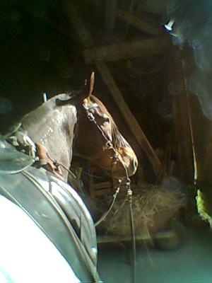 <img300*0:stuff/z/61691/mobilbilder11111/Foto0347.jpg>