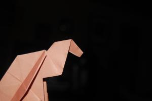<img300*200:stuff/z/62304/Origami%2520birdbase%252c%2520crane%2520and%2520dinosaur%2520tutorial/DSC_0399.JPG>