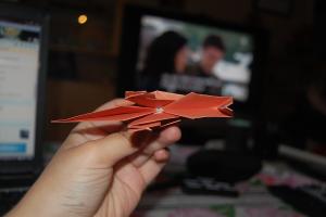<img300*200:stuff/z/62304/Origami%2520birdbase%252c%2520crane%2520and%2520dinosaur%2520tutorial/DSC_0408.JPG>