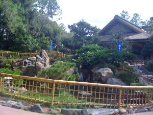<img300*0:stuff/z/64936/Mitsuki%2527s%2520Disney%2520photos%25202/i1228797234_15.jpg>