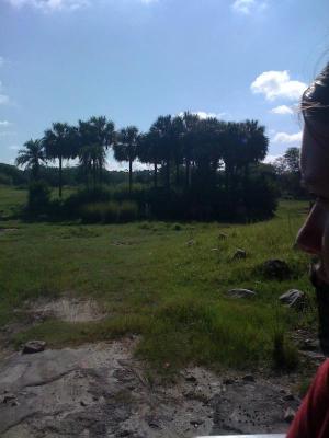 <img300*0:stuff/z/64936/Mitsuki%2527s%2520disney%2520photos%25203/i1228797933_4.jpg>