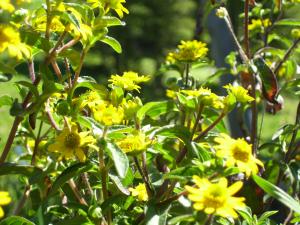 <img300*0:stuff/z/65638/MountainMontana2/i1372973566_10.jpg>