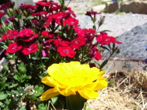 <img300*0:stuff/z/65638/MountainMontana2/i1372973566_15.jpg>