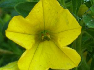 <img300*0:stuff/z/65638/MountainMontana2/i1372973566_16.jpg>