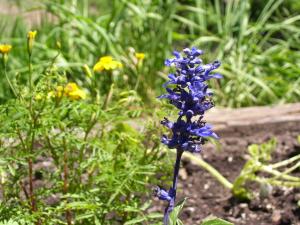<img300*0:stuff/z/65638/MountainMontana2/i1372973566_18.jpg>