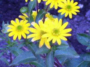 <img300*0:stuff/z/65638/MountainMontana2/i1372973566_20.jpg>
